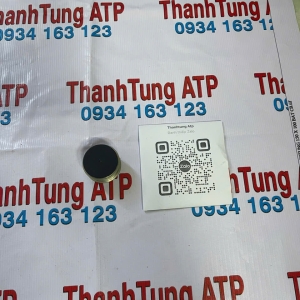 Buli máy phát Captiva 2.0 