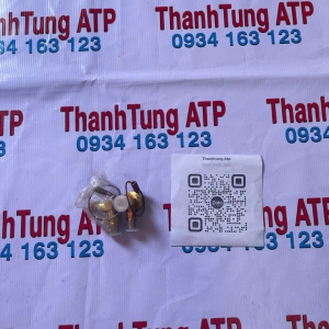 Van tiết lưu Matiz 1-2-3 dạng râu