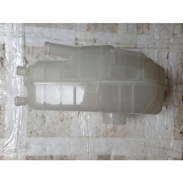 Bình nước phụ Fiesta Ecosport 8V21-8K218-AA
