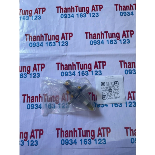 Tổng phanh( heo cái thắng) CDX 13286444